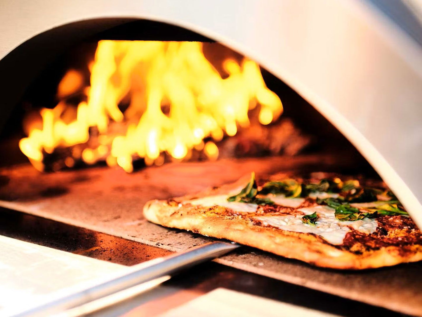 Coyote C1PZ40WC 40" DUOMO Wood-Fired Pizza Oven β Copper