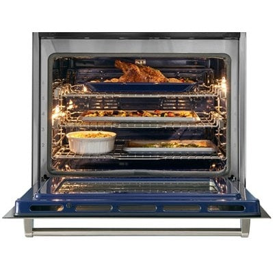 Wolf SO3050TE/S/T 30" E Series Transitional Single Wall Oven