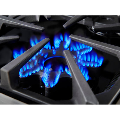 BlueStar BSPGR486G 48" Platinum Series All-Gas Range with 12" Griddle